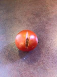 This one appeared a few days later....